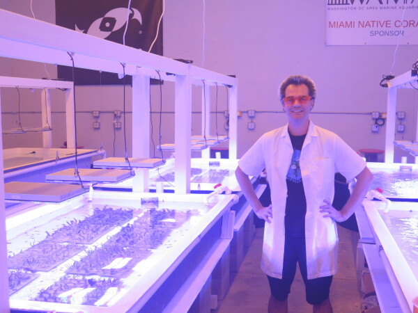 Colin Foord is carefully tending more than two thousand tiny soft coral specimens growing in several large saltwater tanks. They'll soon be transplanted on to underwater concrete sculptures.