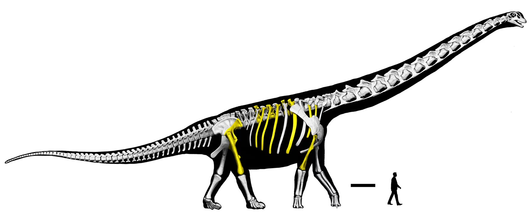 Post image 6