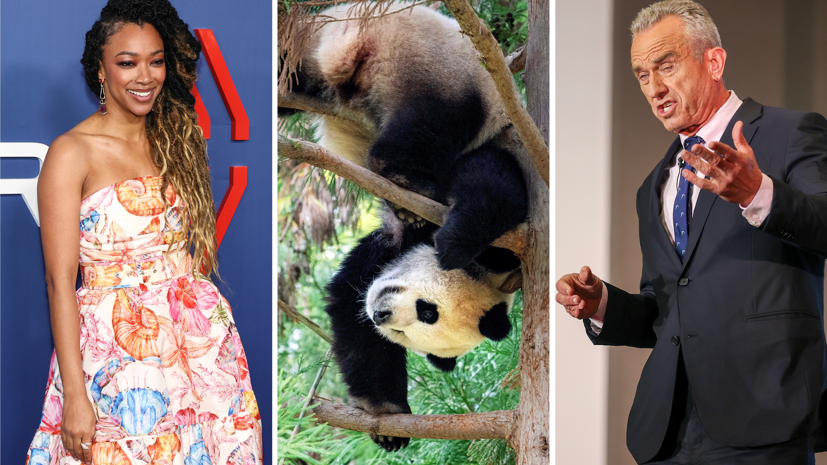 From left: Sonequa Martin-Green, Xiao Qi Ji, RFK Jr.