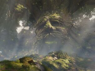 Protagonist Link appears before the Great Deku Tree with fairy companion Navi.
