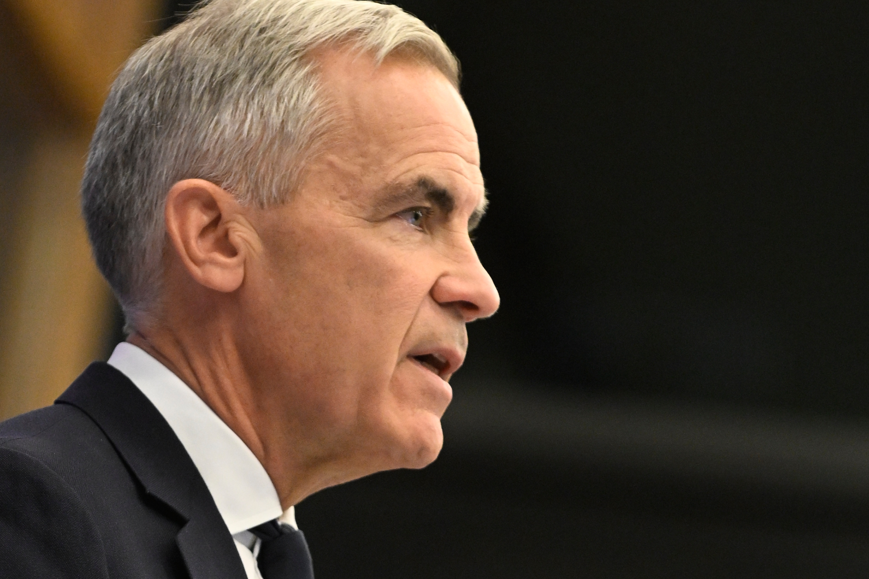 Canada's Carney welcomes EU's bid for closer ties 'so no one can control' their markets