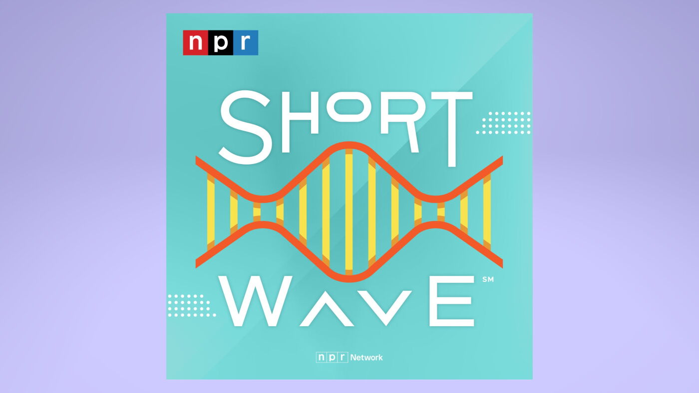 New & noteworthy podcasts to listen to on the NPR app : NPR