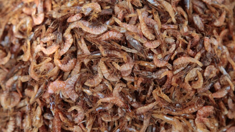 Mounds of dried shrimp sit at India's port of Visakhapatnam, where much of the economy is based around seafood exports — chiefly frozen shrimp to the U.S.