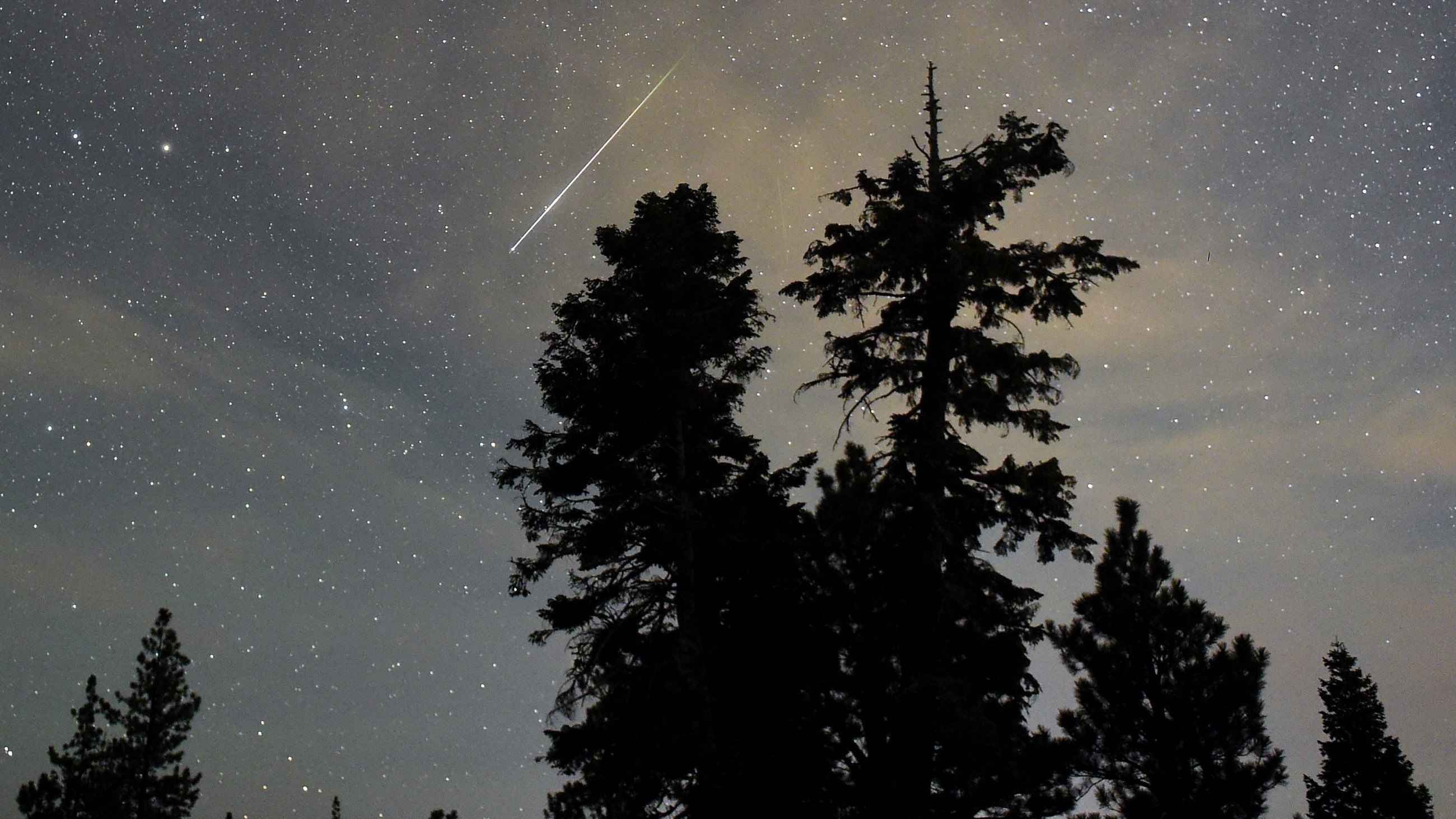 A Perseid meteor streaks across the sky above desert pine trees on August 13, 2015 in the Spring Mountains National Recreation Area, Nevada.