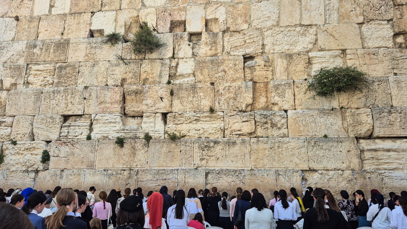 An Israeli paraglider tries to save migrating swifts that nest in the Western Wall