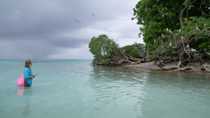 At Palmyra Atoll in the remote Pacific Ocean, wildlife refuge manager Paige Mino observes red-footed boobies. Scientists have found a surprising link between the seabirds and the health of the surrounding ocean.