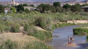 NPR's Climate Solutions Week : NPR