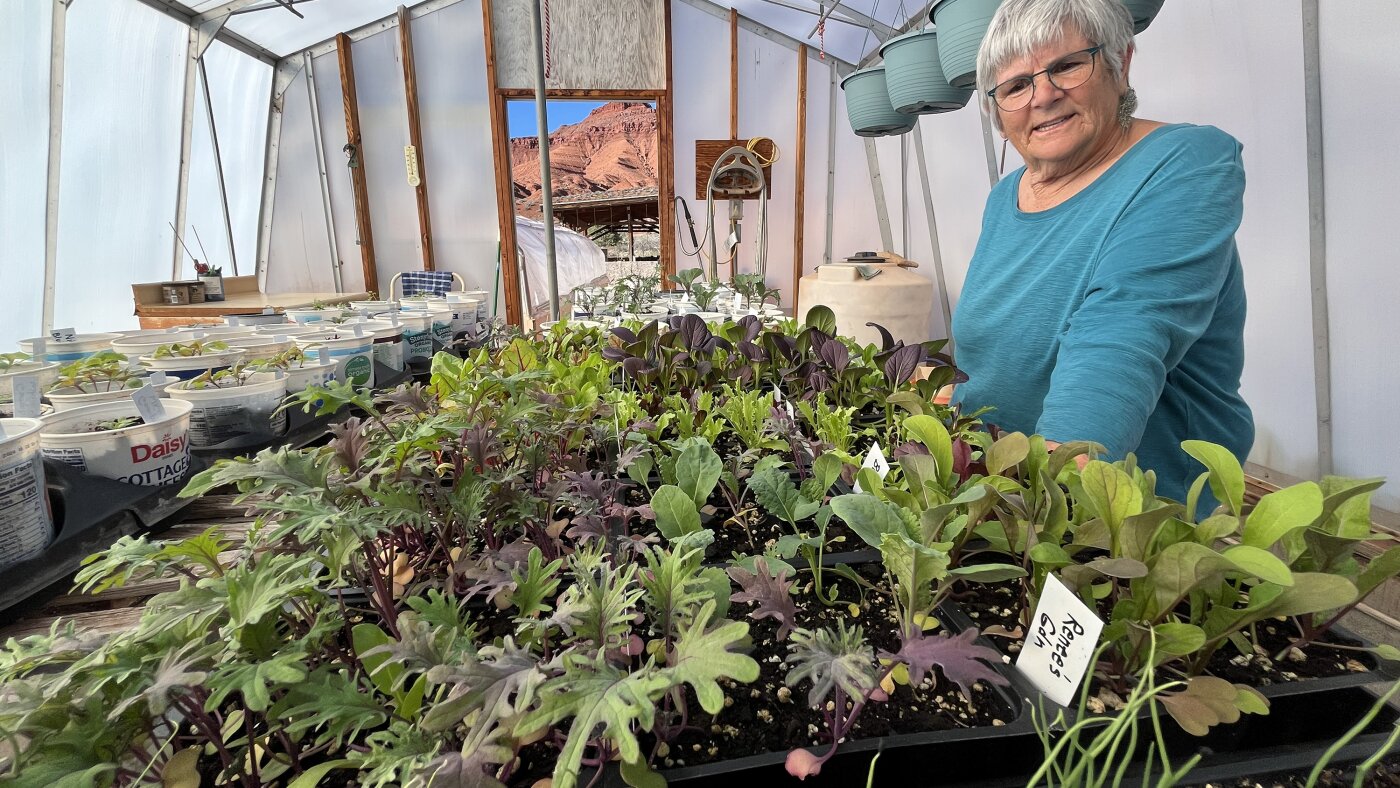 In conservative Utah, some communities are ditching fossil fuel power for clean energy
