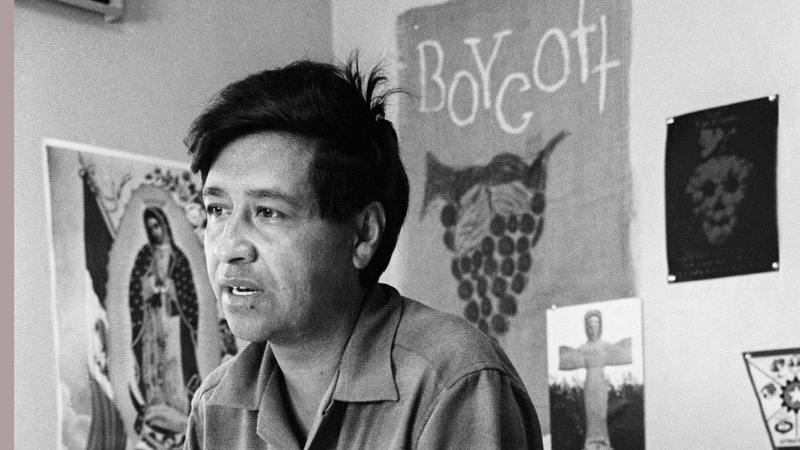Cesar Chavez, a farm worker, labor organizer and leader of the California grape strike, is seen in a California works office in 1965.