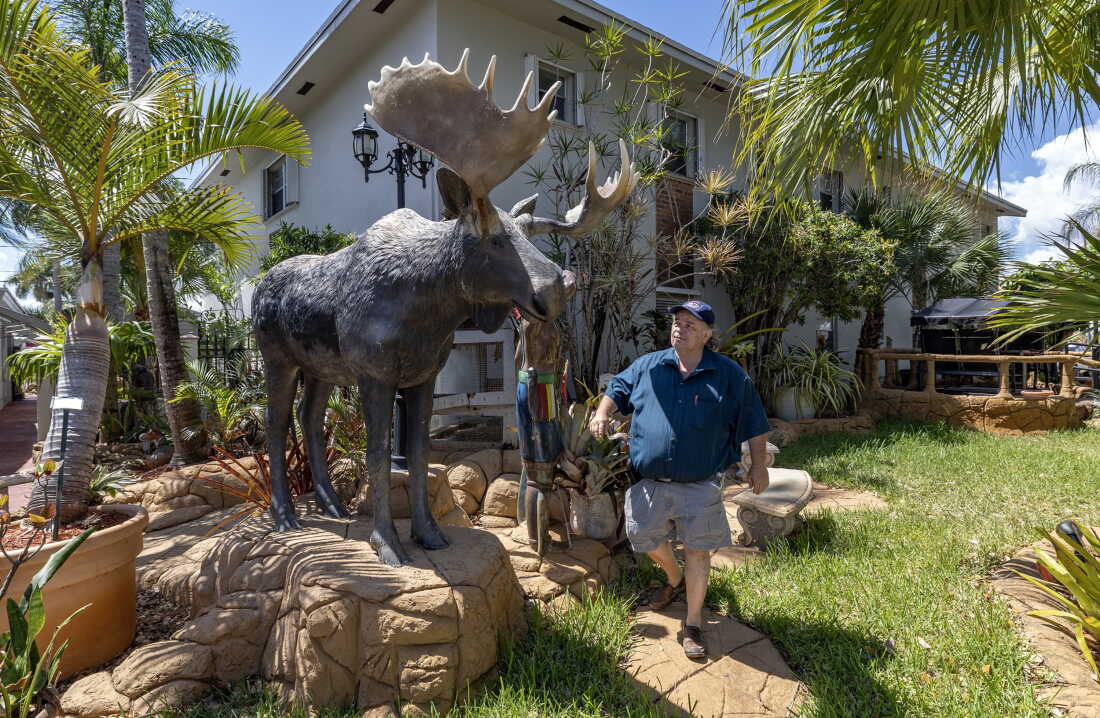Richard Clavet walks outdoors, past a life-size statue of a moose that he brought from Canada and put on display at one the Canadian-themed hotels and motels he owns. A potted palm tree is on the left side of the frame, next to the moose statue.