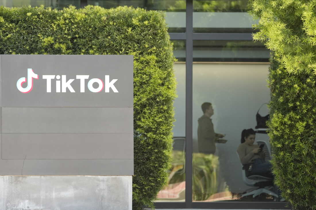 Redacted Report Example Shocking revelations about teens in redacted TikTok documents : NPR