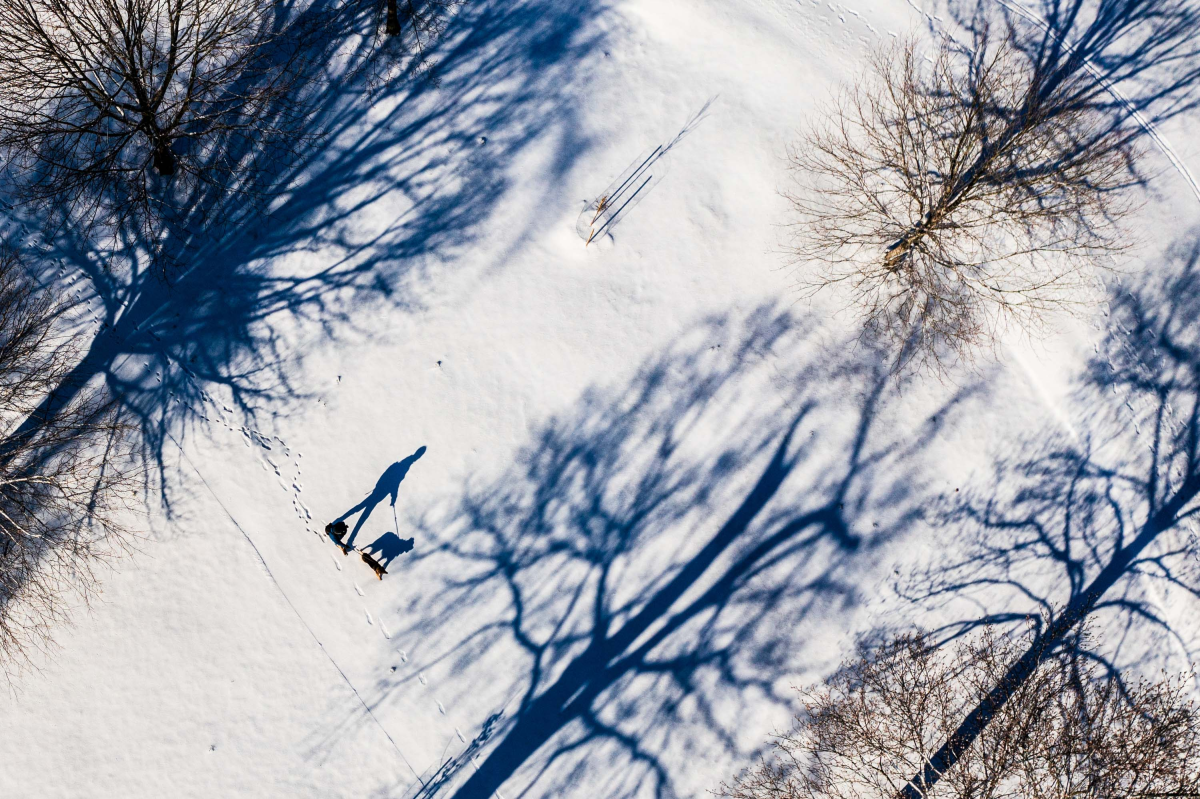 John Leino walks his dog, Poika, on Jan. 7 at Byrd Park in Richmond, Va.