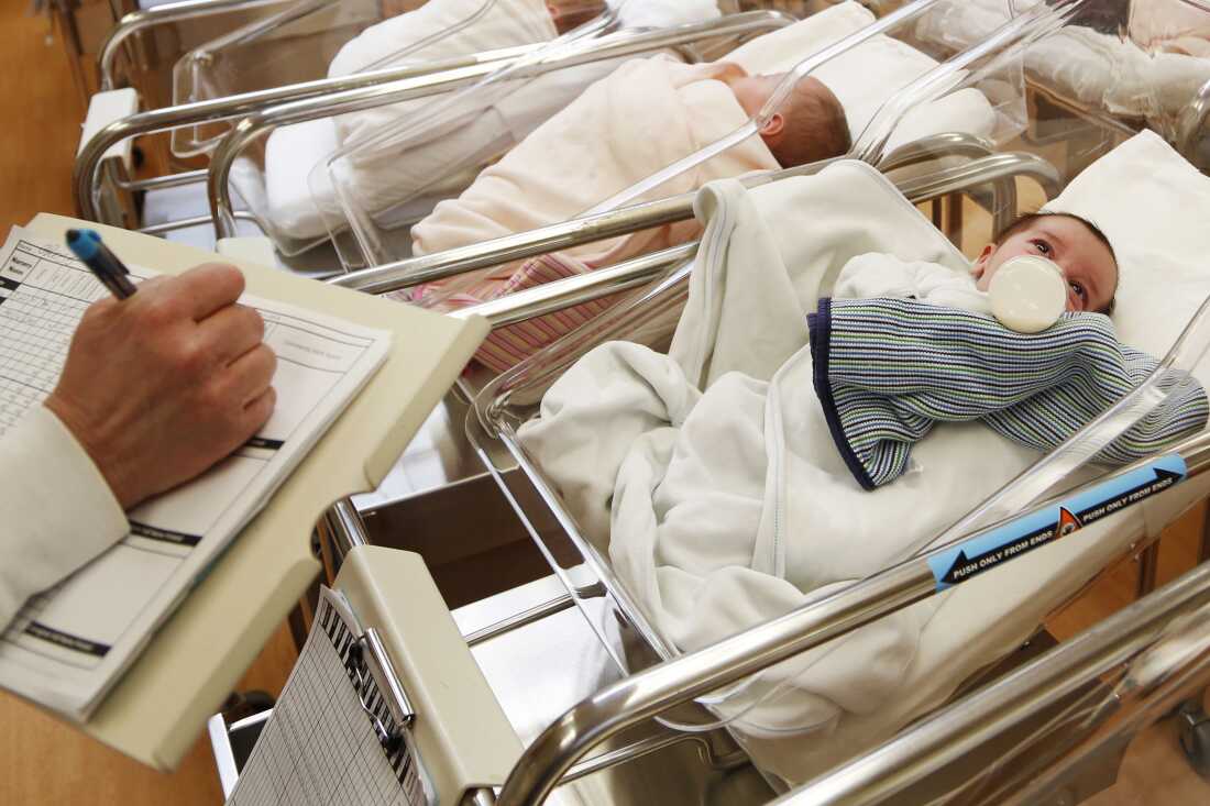 In this photo, three newborn babies are lying in a row of bassinets in the nursery of a postpartum recovery center in upstate New York in 2017. The babies are wrapped in white blankets, and one is sucking from a bottle.