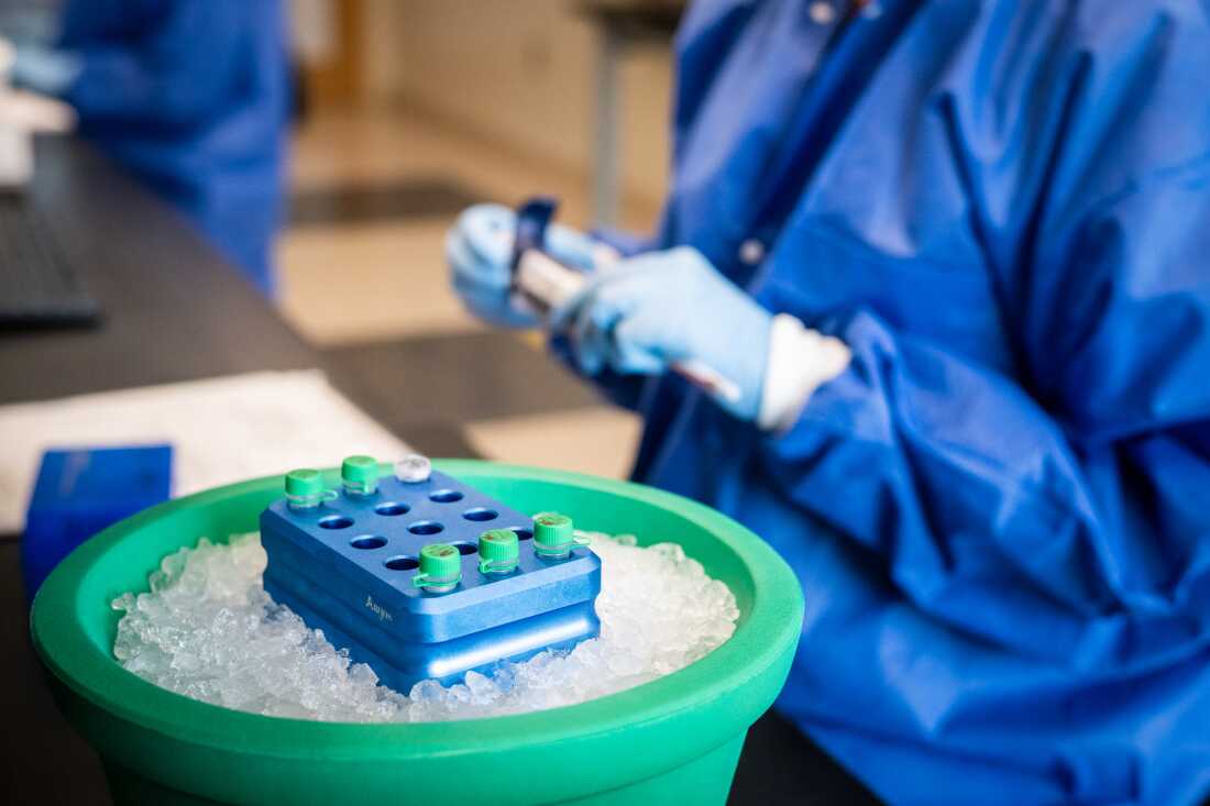 Mary Beth Rossi, senior molecular technologist at Herasight, prepares lab samples.