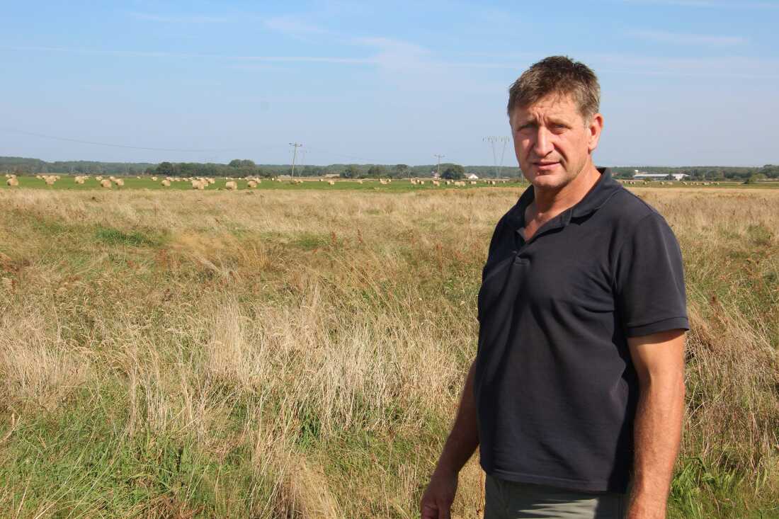 Jörg Espig, a farmer in Usedom, Germany, grows hay and grazes cows on several hundred acres of drained peatlands.