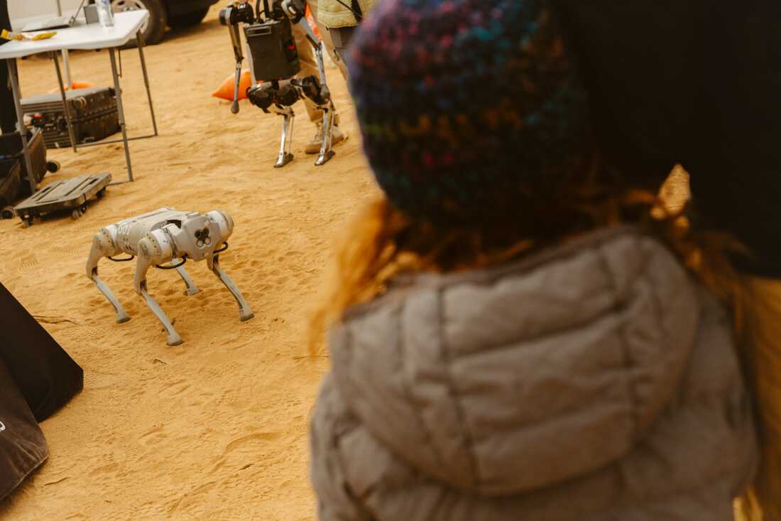 Festival attendees watch a robotic dog in action.