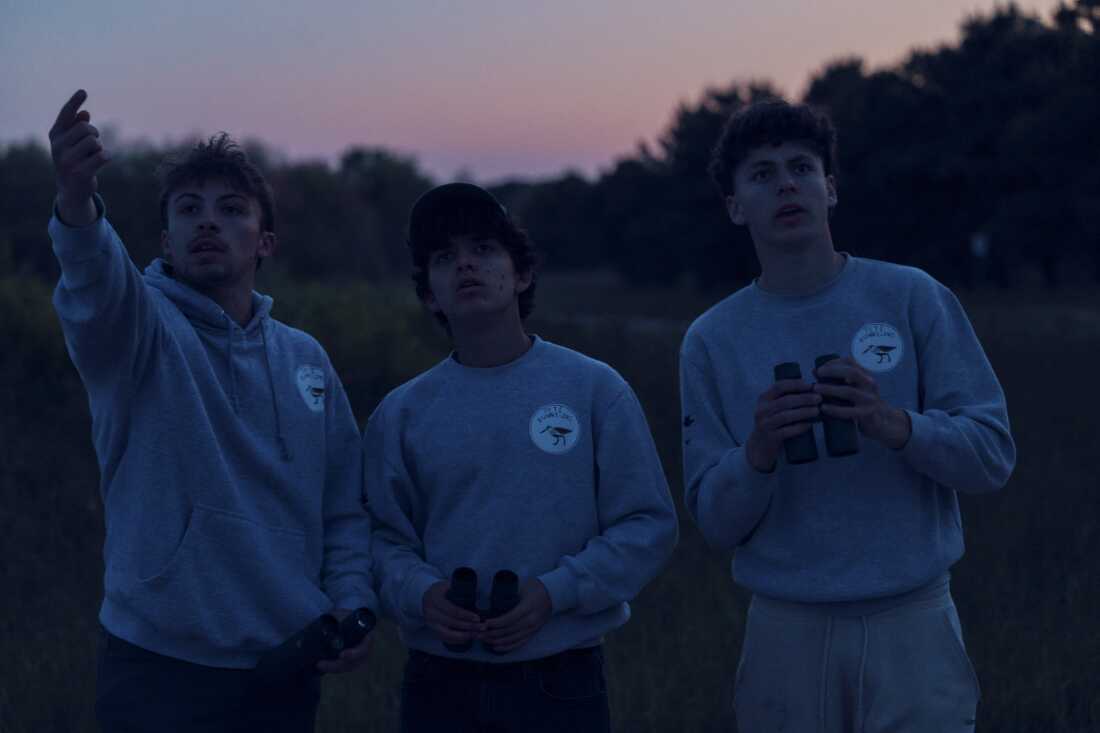 At sunset, Jack Trojan, 17, left, Zade Pacetti, 16, middle, and Otys Train, 16, right, look for a nighthawk at Edwin B. Forsythe National Wildlife Refuge.