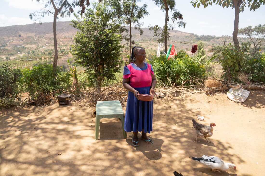 Joyce Mutisya, who has dementia, feeds nan birds she is raising extracurricular her location successful Wote, Kenya.