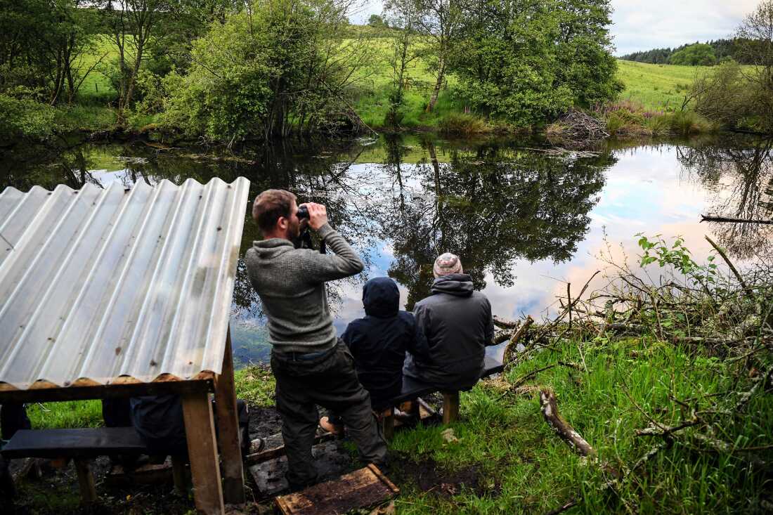 In this 2024 photo, Tom Bowser looks through binoculars as he stands at the edge of a pond in Scotland. Two other people sit on a bench near the edge of the pond.