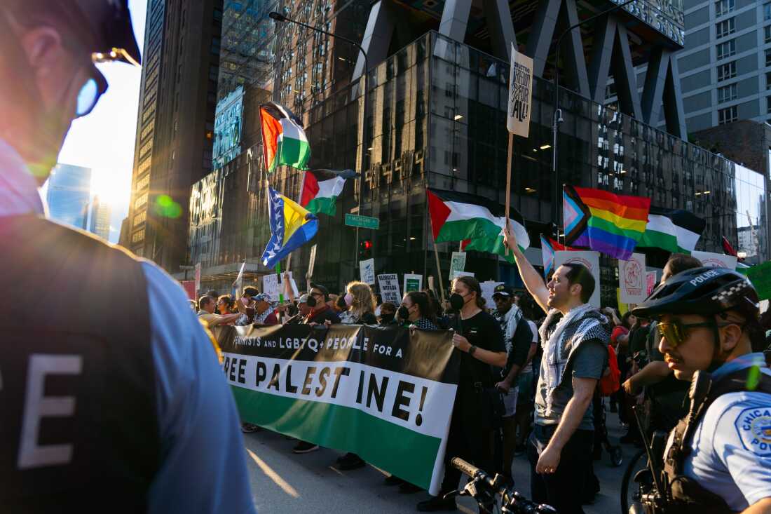 抗議グループがDNCに反対して行進した。デモ参加者と警察の間で深刻な衝突はなかったものの、シカゴ警察はデモ行進に目立った存在感を示した。