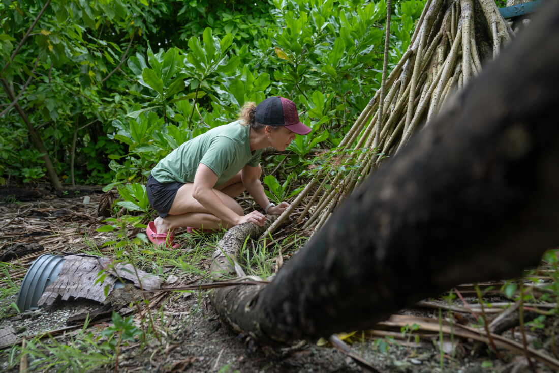 Katie Franklin searches for signs of bird in a forest on the island