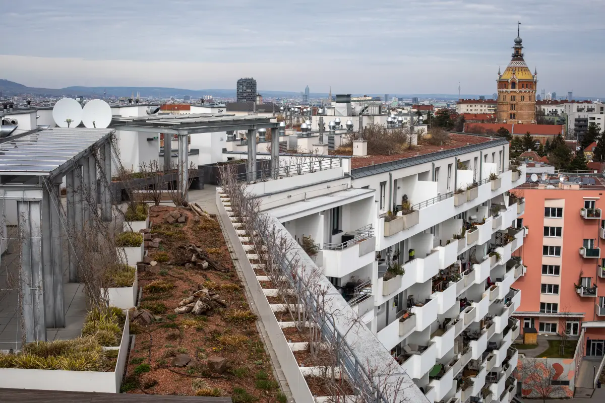 Could this city be the model for how to tackle the housing crisis and ...