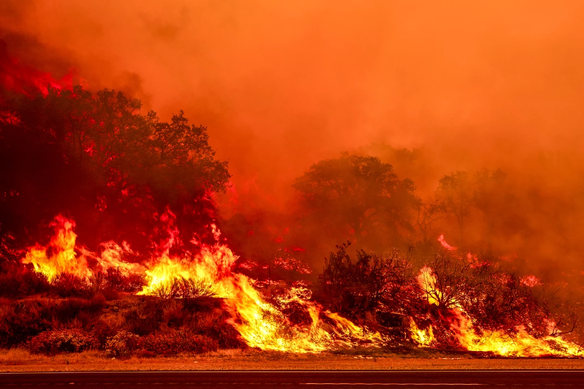The Gifford Fire, the largest fire to burn in California so far this year, started near a road. Research shows wildfires are more likely to start within 50 feet of a road than they are farther out.