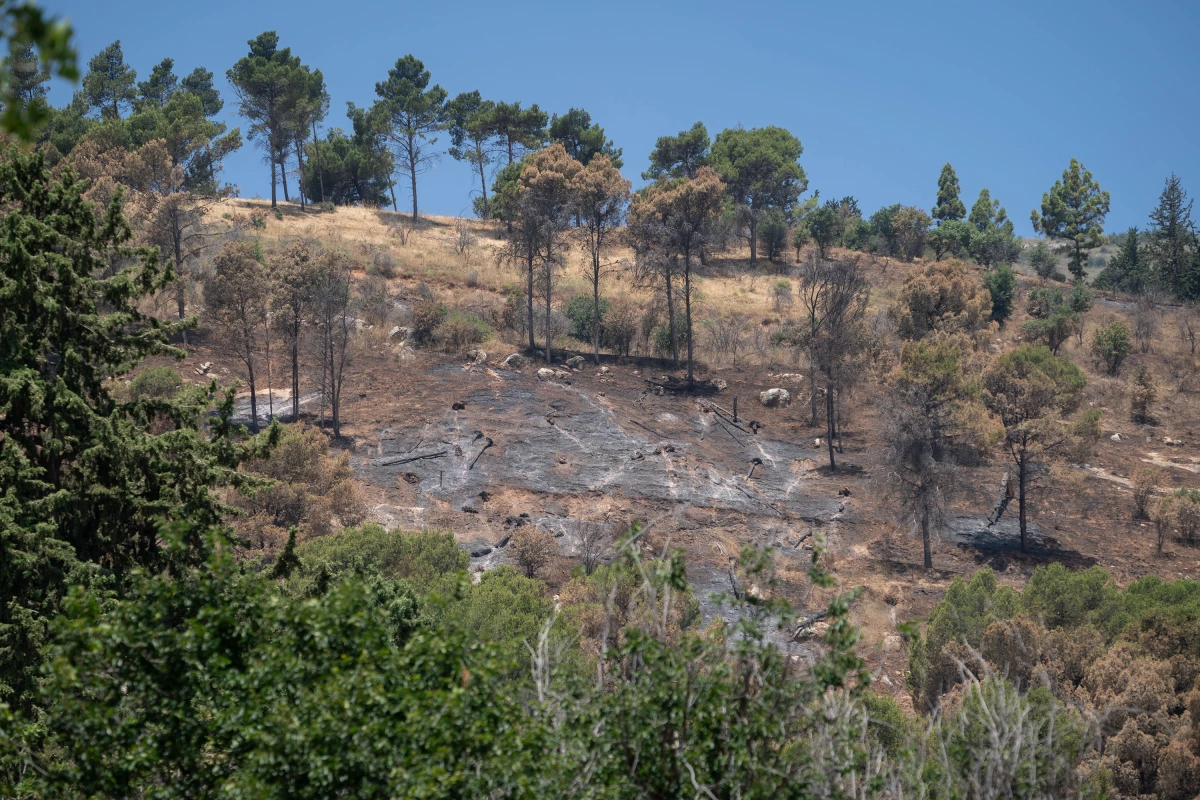 A mountainside with burn damage from Hezbollah rockets in the Israeli town of Kiryat Shmona, June 10.