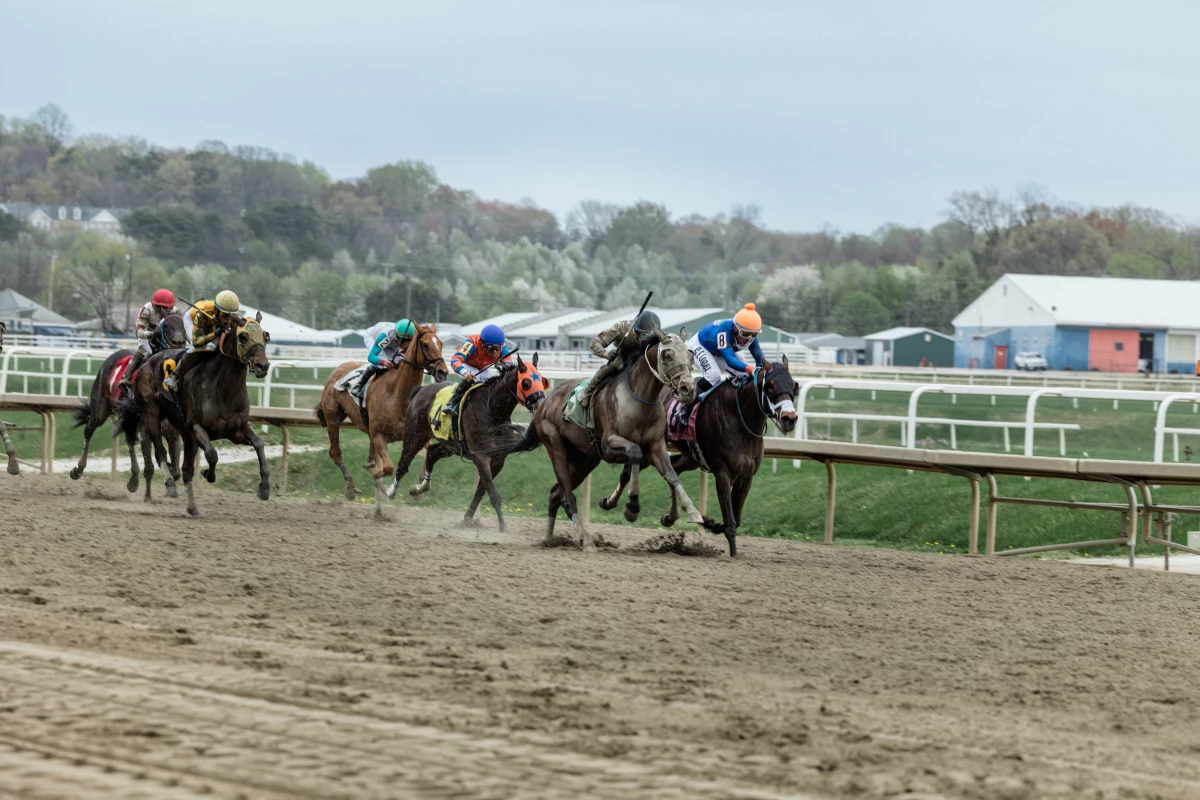 Jockeys and their race horses race at Laurel Park in Laurel, Md., on April 5, 2025.