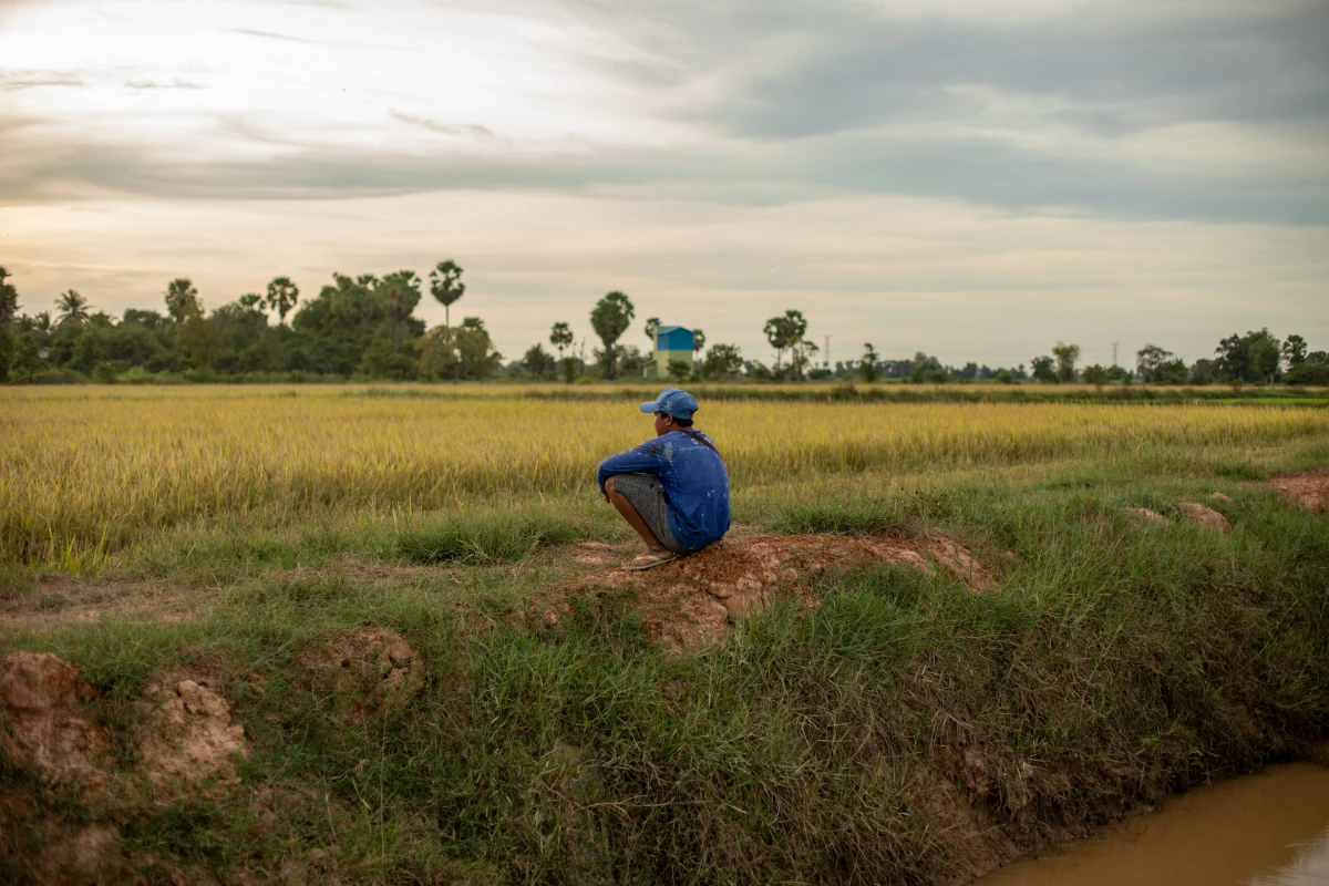 A man looks over a rice field in Koh village, in Cambodia's Anloung Sor district. In interviews with nearly two dozen people in two of the most flood-prone provinces in the country, the same theme emerged over and over: Cambodians are surviving floods only to return to ruined fields.