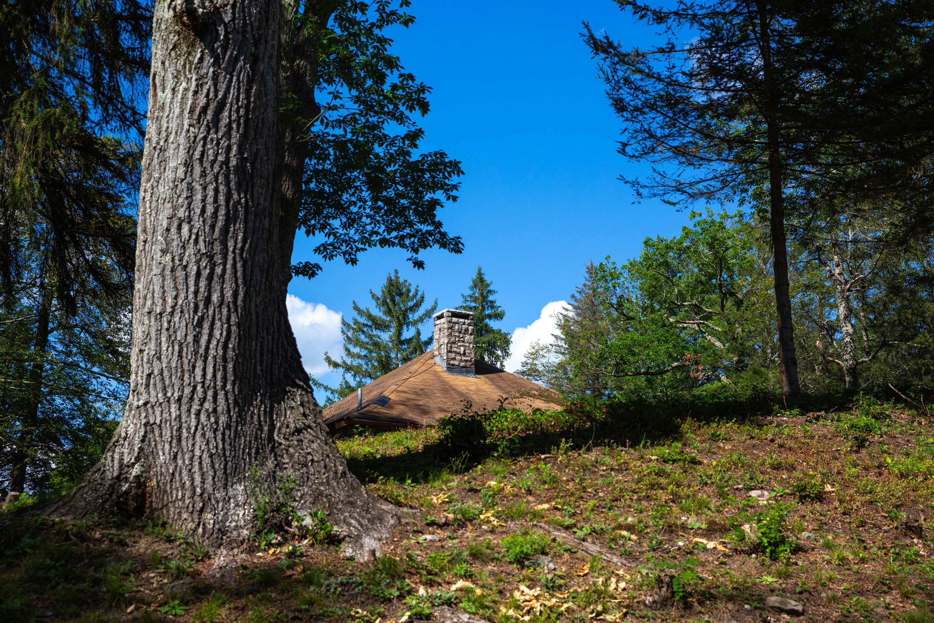 An iconic Carpathian-style roof and stone chimney peek out of the woods in the heart of Soyuzivka’s campus.