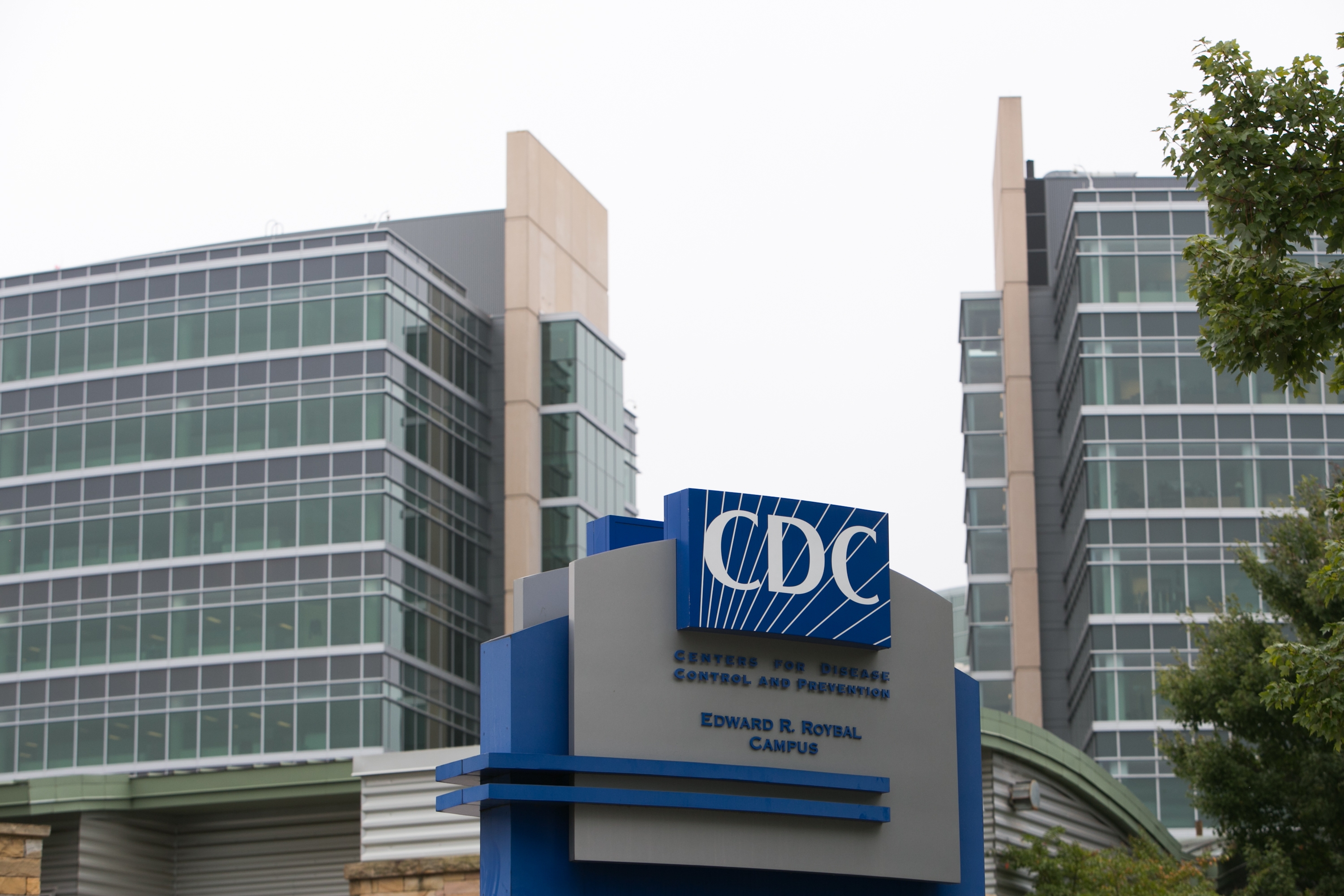 A federal judge ordered pages that were deleted from websites of the Centers for Disease Control and Prevention and other federal health agencies to be restored.
