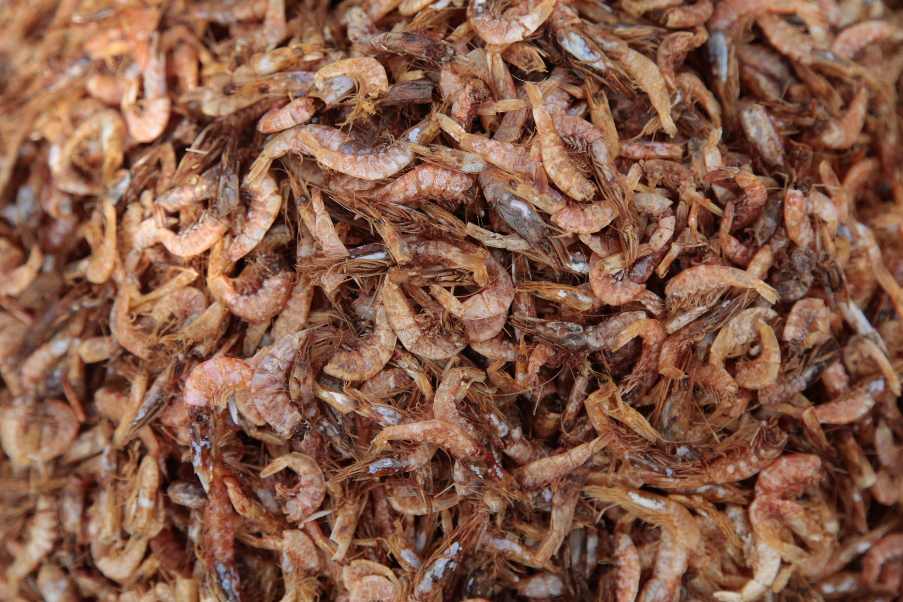 Mounds of dried shrimp sit at India