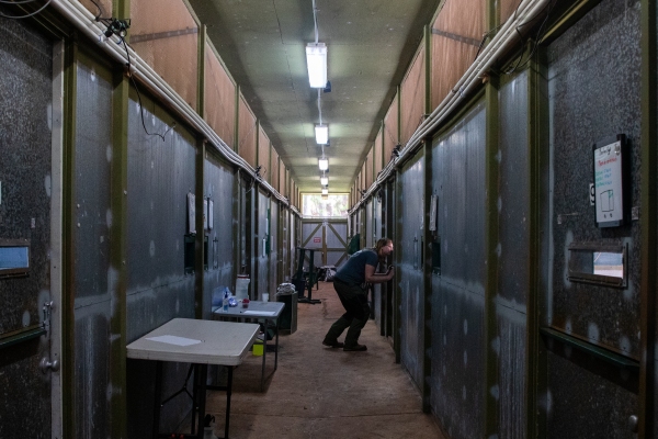 Jennifer Pribble peeks into an enclosure holding a critically endangered ‘akikiki, bird brought into captivity as a last resort to save the species.