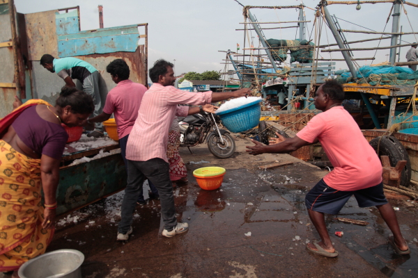 Port workers toss baskets of ice to keep catch fresh at the port of Visakhapatnam.