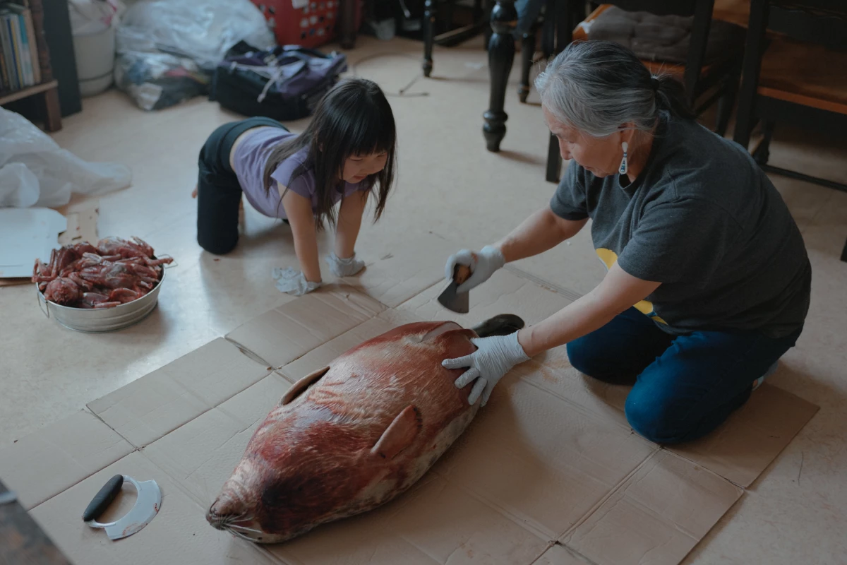 Panik John (right) teaches her granddaughter Bernadette Wiseman (left) how to process a baby seal using a traditional Uluaq knife at their home in Toksook Bay, Alaska. Panik and her husband Simeon lead CANHR’s programs and research projects in Toksook Bay, including Qungasvik.