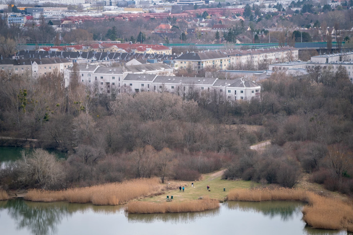 Because of increased flood risk related to global warming, Vienna is incorporating more ponds and green spaces in urban design to soak up excess water and better manage flooding.