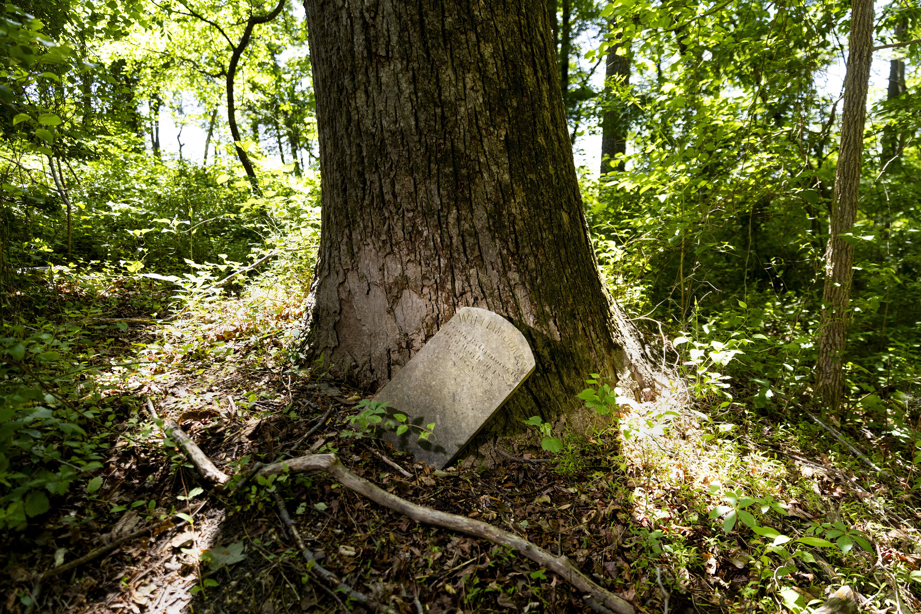 Grave markers for Black boys that died while at the House of Reformation in Cheltenham, Md., in the forested area adjacent to the Maryland Veterans Cemetery.