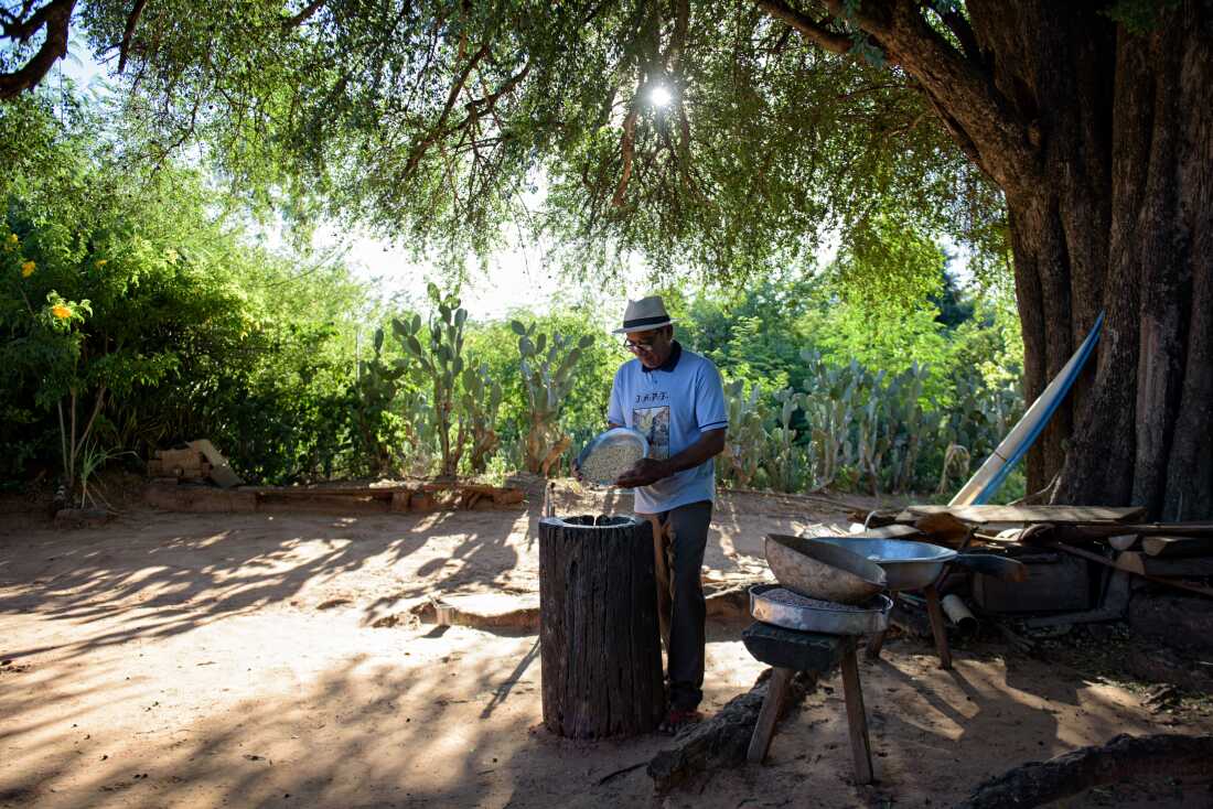 A man wearing a hat and glasses prepares a traditional dish in the backyard, pounding red rice with a wooden pestle. 