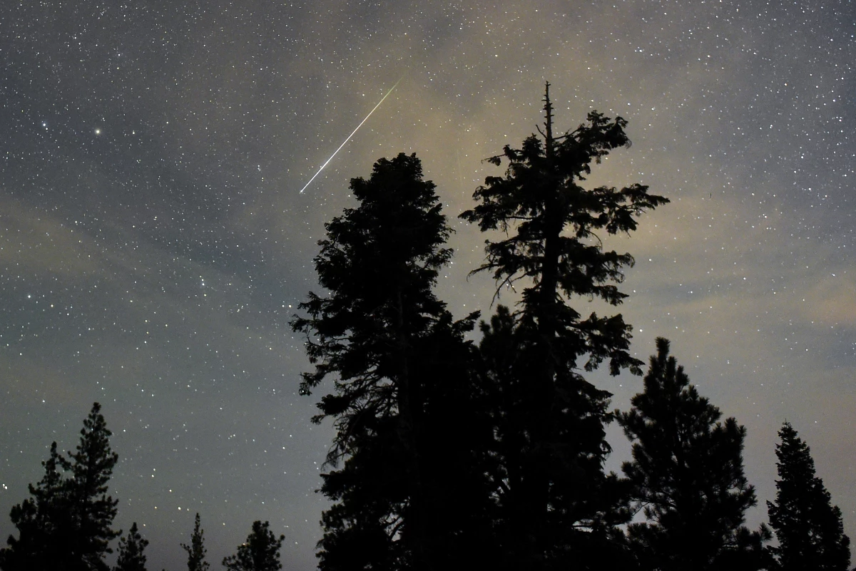 A Perseid meteor streaks across the sky above desert pine trees on Aug. 13, 2015, in the Spring Mountains National Recreation Area in Nevada.