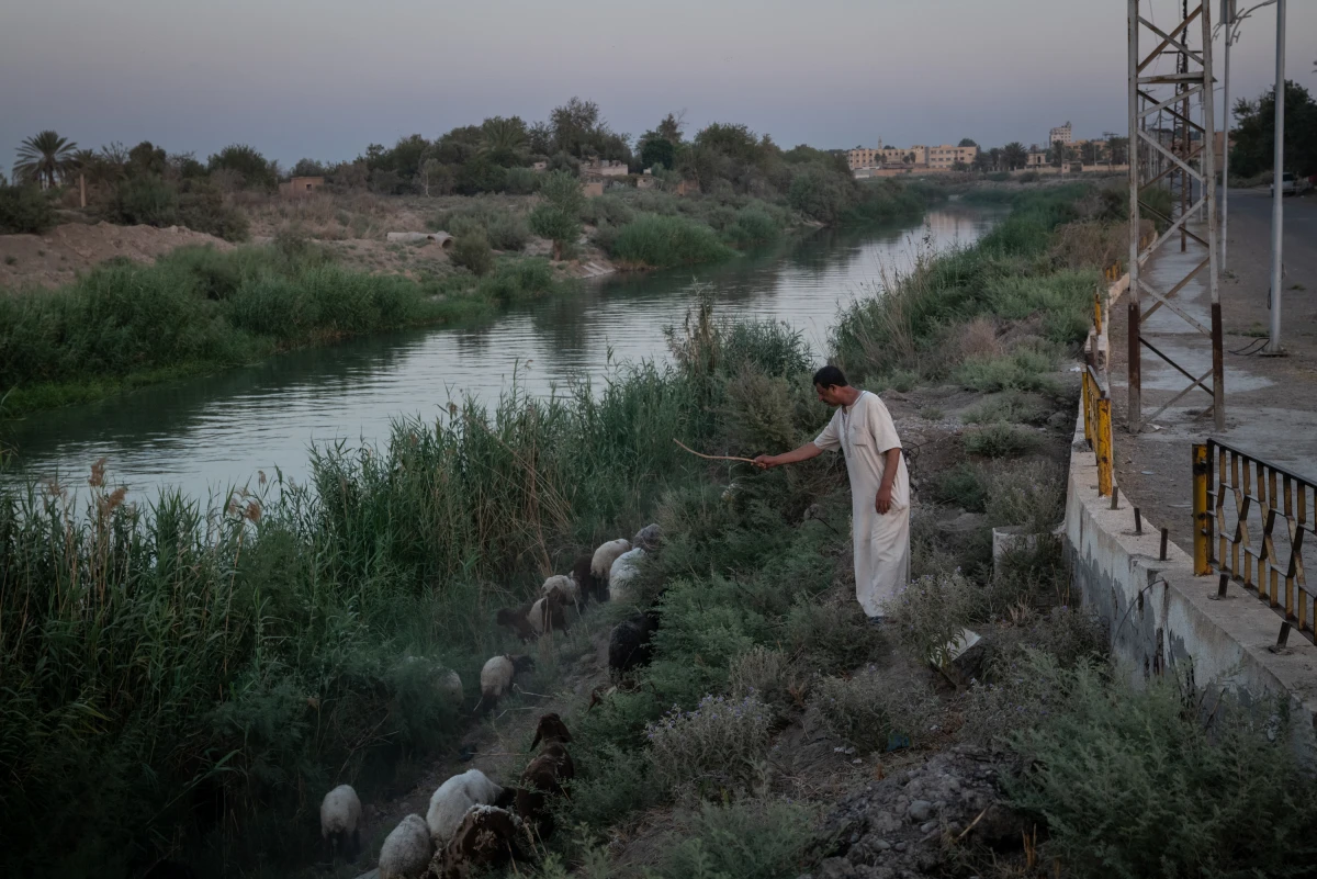 A shepherd herds his flock of sheep on the banks of the Euphrates River. The river divides forces loyal to the new Syrian government and those who support the U.S.-backed Syrian Democratic Forces. Deir al-Zour, Syria. August 21, 2025