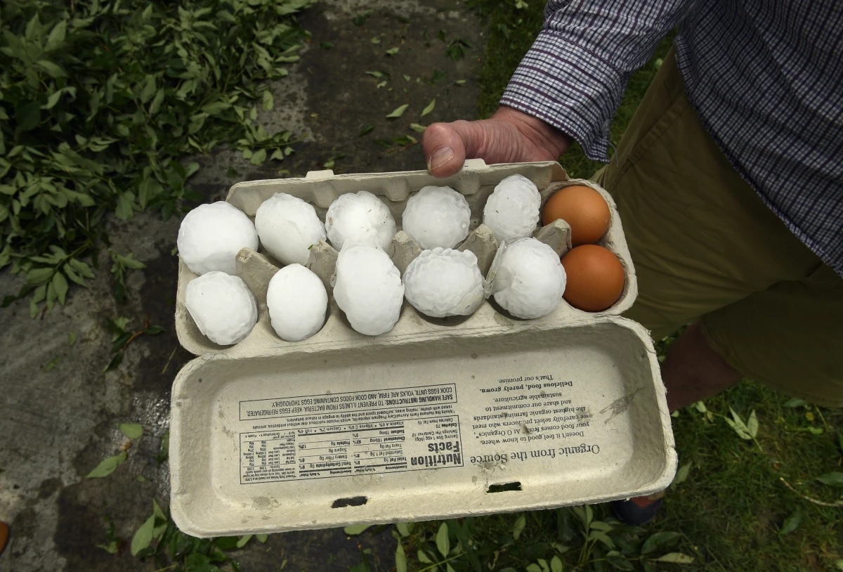 Gregg Crouger shows ten large hail stones after a storm in 2018 in Louisville, Colo. As hail losses increase, insurance companies are raising prices. The central United States now has some of the highest insurance prices in the country.