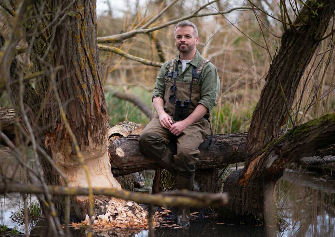 In this photo, Sean McCormack sits on a log in a marshy area near a tree whose trunk has been gnawed by beavers. He is wearing binoculars around his neck and overall-style waders.