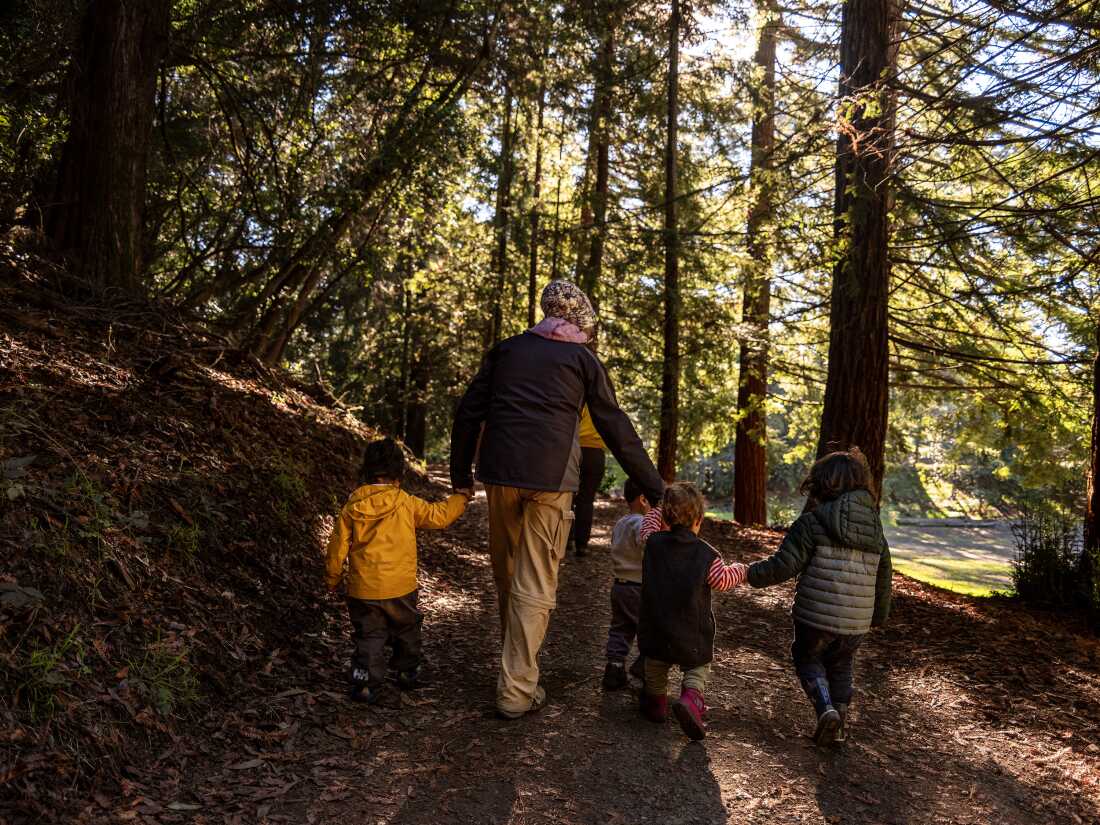 Rosa María Carranza holds hands and sings with toddlers while they walk along a trail in the forested hills of northeast Oakland, California, on Dec. 5, 2025. Carranza co-founded Escuelita del Bosque, a Spanish immersion preschool at which children spend much of their day learning and exploring outside.