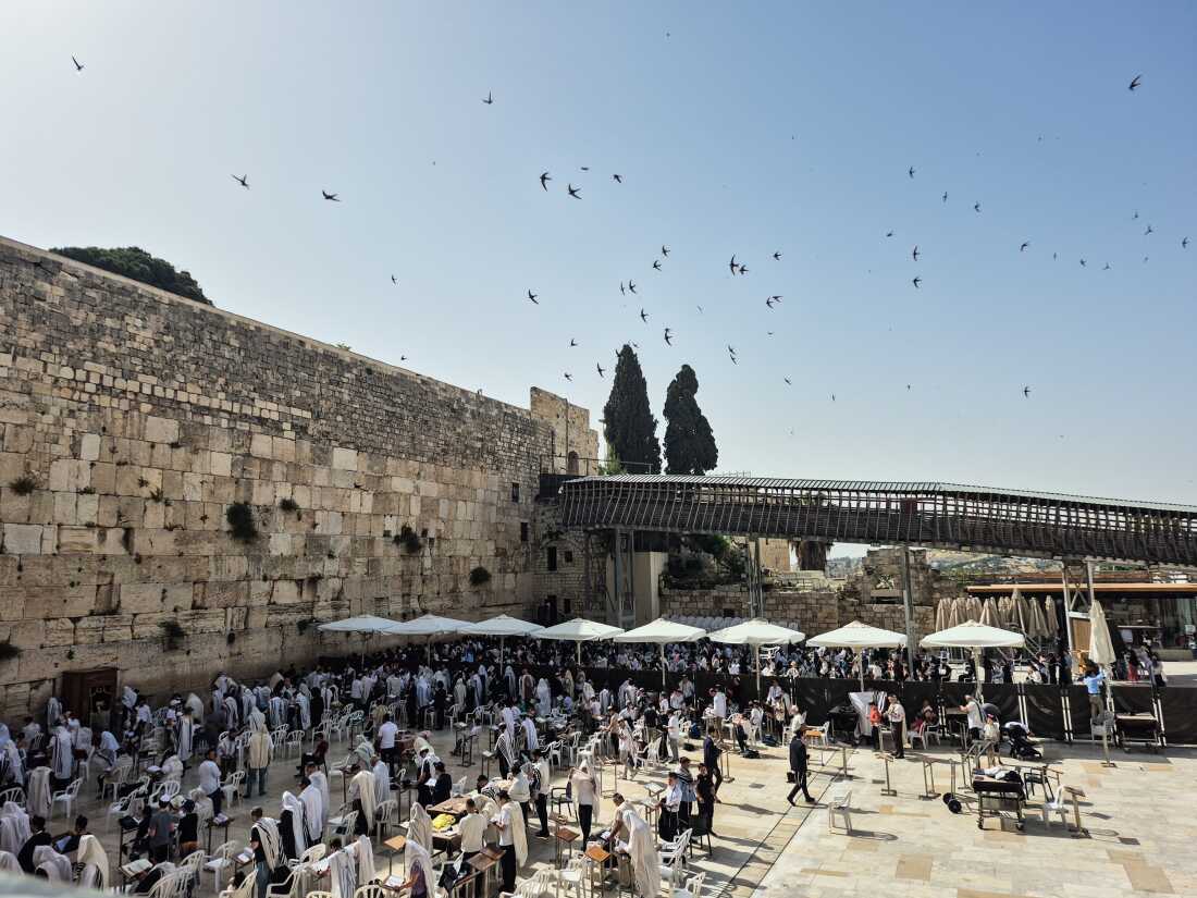 An Israeli paraglider tries to save migrating swifts that nest in the Western Wall An Israeli paraglider tries to save migrating swifts that nest in the Western Wall