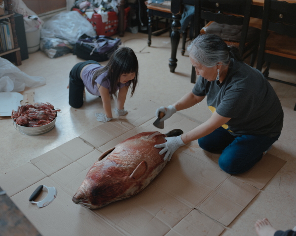 Panik John, 65, (right) teaches her granddaughter Bernadette Wiseman, 6, (left) how to process a baby seal using a traditional Uluaq knife at their home in Toksook Bay, Alaska. Panik and her husband Simeon lead CANHR’s programs and research projects in Toksook Bay, including Qungasvik. “The hope that I have for the future is in the youth utilizing what they’ve learned and passing on the culture”, says John. “It’s our identity, and we don’t want to lose that.”