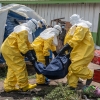 Ebola salgınları geçmişte ve günümüzde
