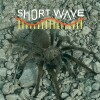 In fall, male brown tarantulas leave their burrows in search of mates. https://www.inaturalist.org/observations/286340742