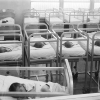 In Good Health: The Matter Of Maternal Mental Health Care