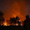 Behind the silhouette of trees, yellow fires light up the sky with red clouds. A firefighter is standing to the right.